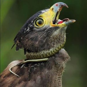 Meet your Posher, Gerardo